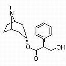 (-)-莨菪碱,l-天仙子胺,l-天仙子碱,(-)-hyoscyamine,>99%|101-31-5