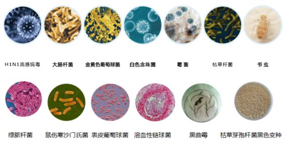 广西壮族自治区图书馆之福诺自助图书杀菌机