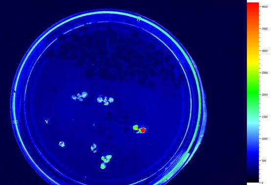 易科泰参加模式生物与人类健康研讨会 易科泰参加模式生物与人类健康研讨会