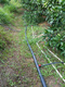 赣州脐橙园智能水肥灌溉系统安装完毕