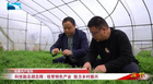 培育特色產業 助力鄉村振興｜湖北電視臺《旗幟》欄目報道江漢大學科技副總胡志輝