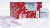 Qiagen RNeasy MinElute Cleanup Kit 74204