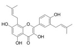 楮树黄酮醇F 162558-94-3