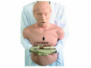 高级成人气道梗塞及CPR模型