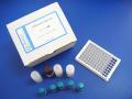 牛CD40配體(CD40L)ELISA檢測試劑盒