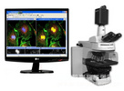 显微荧光图像分析系统