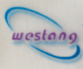 Western Blot/WB/免疫印記/蛋白印記技術服務/實驗代測 促銷
