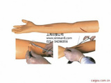 外科缝合手臂模型