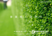 墻面裝飾草坪