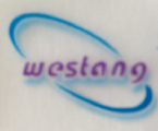 Western Blot/WB/免疫印记/蛋白印记技术服务/实验代测 促销