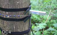 DC4树木周长生长测量仪