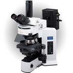 BX51万能研究型显微镜