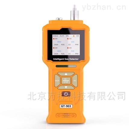 WK02-903-O2泵吸式氧气检测仪
