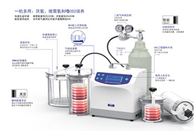 DW-100A-K型智能厭氧微生物培養系統