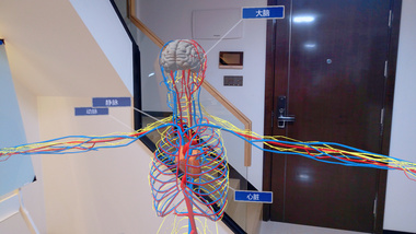 鲸升混合现实（MR）全息人体结构及模拟解剖系统