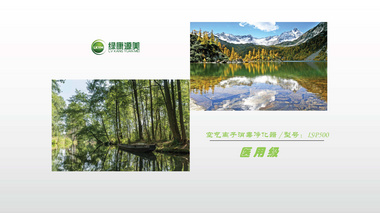 空气离子消毒净化器