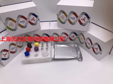 人免疫球蛋白A Fc段受体Ⅰ(FcαRⅠ/CD89)ELISA Kit