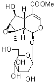 Phlorigidoside C