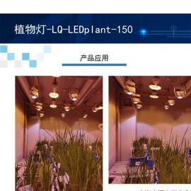 杭州利全+植物灯-LQ-LEDplant-150天井灯