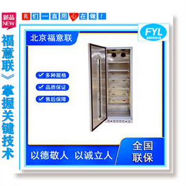 鈕扣鋰電池恒溫測試箱 測試恒溫柜