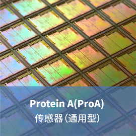 LifeDisc Protein A(ProA) 生物传感器（通用型）