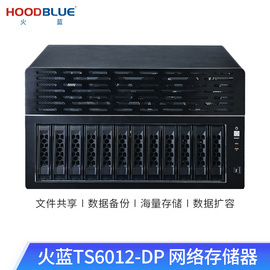 火蓝（Hoodblue）TS6012-DP万兆光纤NAS网络存储器国产化塔式磁盘阵列存储服务器 TS6012-DP-96TB