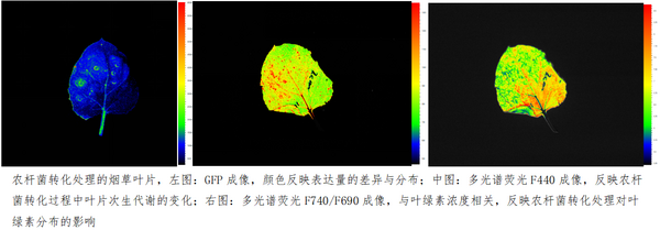 易科泰FluorCam多光谱荧光成像系统落户兰州大学