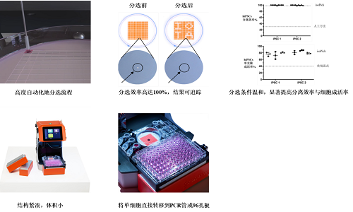 單細胞可視化分選技術全新來襲，分離效率高達100%！