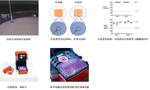 单细胞可视化分选技术全新来袭，分离效率高达100%！