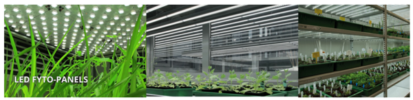 光生物學研究技術（一）——北京易科泰生態技術