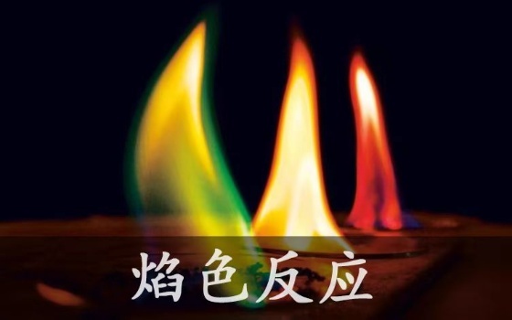 嘉蓮VR教育：超越想象！觸手可及的沉浸式VR教育！