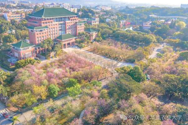 廣東省教育評價改革典型案例④