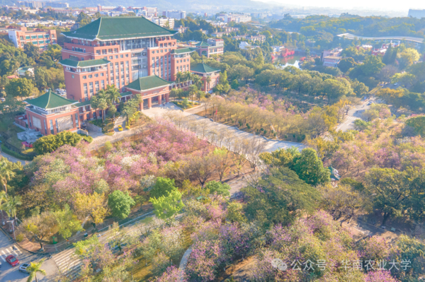 广东省教育评价改革典型案例④