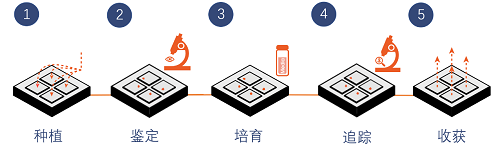 高效构建hiPSC系的全自动化神器，单细胞可视化分选培养系统，让单细胞培养不再复杂！