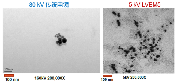低電壓、無負染，以“柔”克剛！脂質體、囊泡成像福音，生物型透射電鏡LVEM