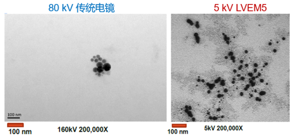 低电压、无负染，以“柔”克刚！脂质体、囊泡成像福音，生物型透射电镜LVEM