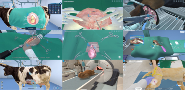 畜牧兽医教学中虚拟仿真技术的创新应用实践