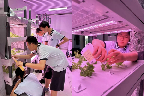 南京装备探索AI新场景 国产开源主控点亮中小学课堂