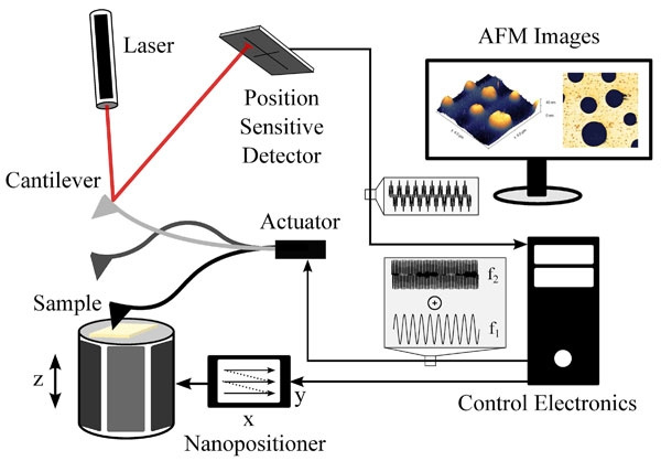 Spectrum数字化仪助力研发人员提升原子力显微镜性能