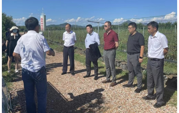 北京農學院：服務鄉村振興進行時|聚焦農業減碳增匯 助力平谷綠色發展