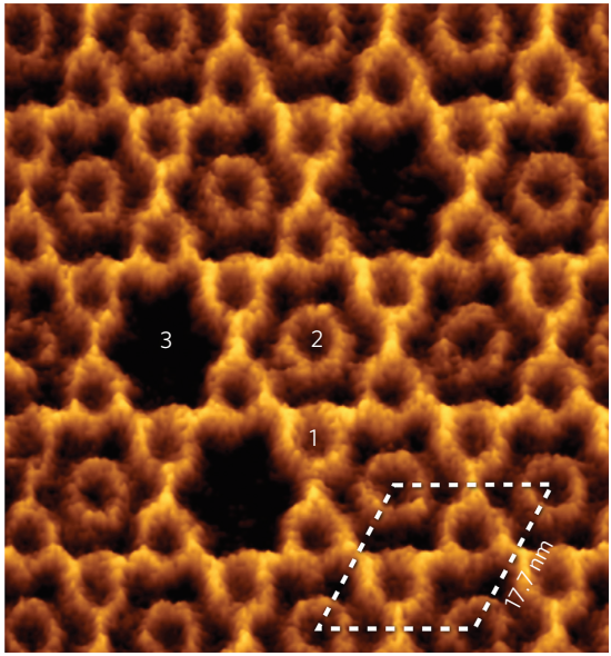 日本RIBM超高速视频原子力显微镜HS-AFM实现膜蛋白的直接实时成像