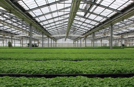智能溫室大棚讓傳統大棚感受科技的力量