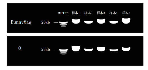 分子診斷行業又一重磅產品上市