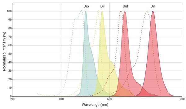 親脂性細胞膜染料： DiO, Dil, DiR, Did - MedChemExpress