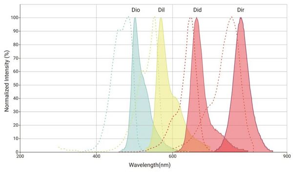 亲脂性细胞膜染料： DiO, Dil, DiR, Did - MedChemExpress