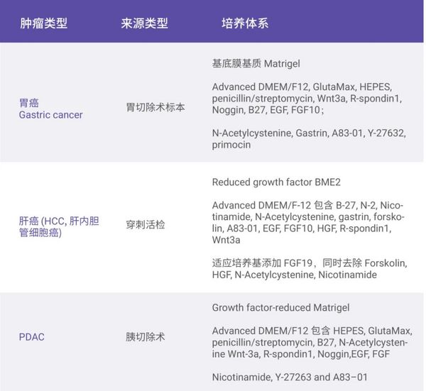 憑什么說腫瘤類器官是“試藥替身”？- MedChemExpress