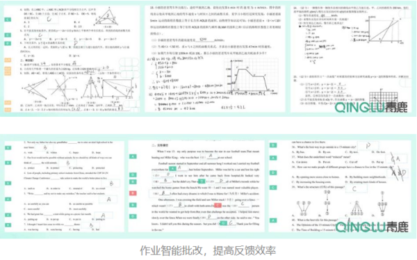 案例分享丨智慧作業創新增實效，及時反饋與精準評價！