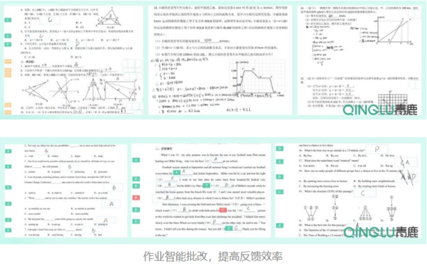 案例分享丨智慧作业创新增实效，及时反馈与精准评价！