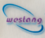 Western Blot/WB/免疫印记/蛋白印记技术服务
