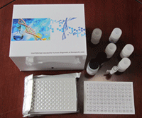 glycolipid试剂盒,人抗糖脂抗体ELISA试剂盒